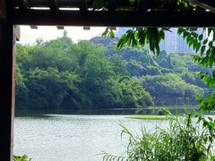 -重庆彩云湖湿地公园