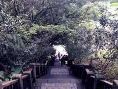 -金盆阿嬷香菇茶叶蛋(玄光店)