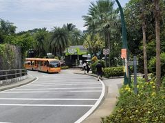 -圣淘沙天际线斜坡滑车