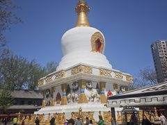 -护国法轮寺