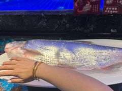 -忆江南·临江鱼馆