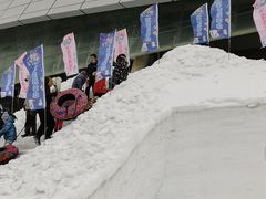 -沈阳奥体冰雪嘉年华