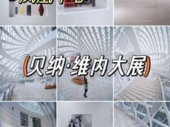 -凤凰中心