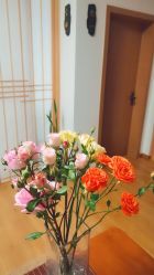 -净·瑜伽普拉提