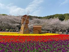 -苏州上方山国家森林公园
