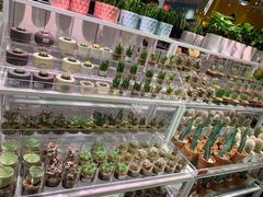 -KKV(深圳宏发大仟里店)