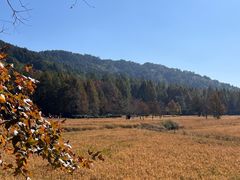 -塔川景区