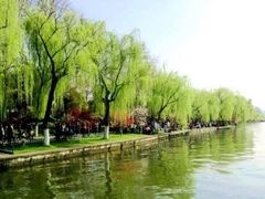 -柳浪闻莺公园