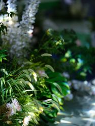 -曼格纳婚礼艺术中心(张江店)