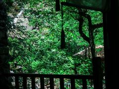 -石台牯牛降景区