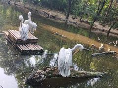 -济南野生动物世界
