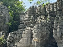 -梭布垭石林景区