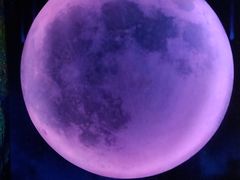 -梵高星空艺术馆(北京旗舰店)