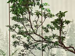 -双湖宴·湖北菜(文化路店)