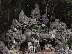 -大屏嶂森林公园