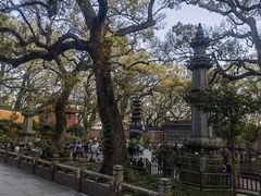 -普陀山风景名胜区-法雨禅寺