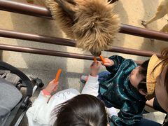 -海南热带野生动植物园