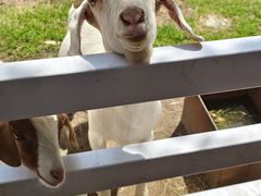 -哈尔滨北方森林动物园