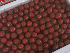 -江杨农产品批发市场