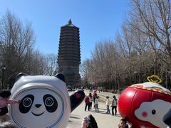 -玲珑塔公园
