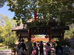 -大槐树寻根祭祖园