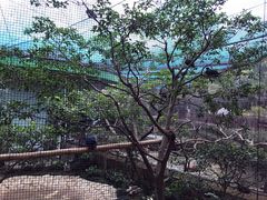 -九龙公园