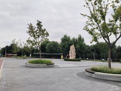 -绿堤公园