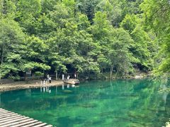 -石台牯牛降景区