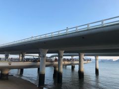 -演武大桥观景平台