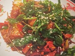 -芸鲜季·云南野生菌餐厅· 云南风物味研社(闵行店)