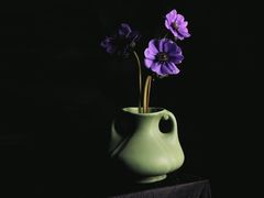 -臻江南影院式足道(雅安店)