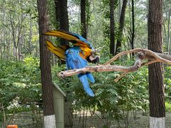 -北京野生动物园