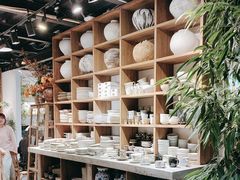 -自由生长植物工作室(深港花卉中心店)