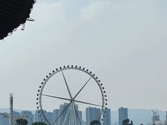 -庾园