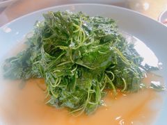 -双塔老饭店