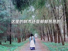 -上海海湾国家森林公园