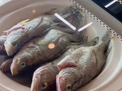 -季家厨房(长江东大街店)
