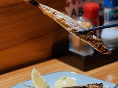 -KITON喜豚(清晖园店)