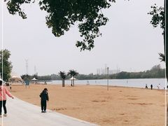 -淇河金沙滩