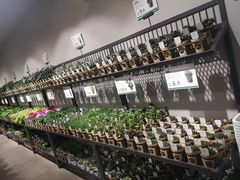 -鹿岛会员店 (龙湖三千集天街店)