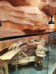 -Zoolung Zoolung动物主题公园(海信广场店)