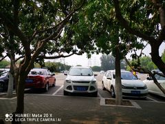 场地-奥林匹克森林公园北园-停车场