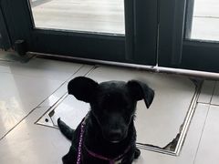 -爱侣宠医·鹦鹉专科·小型哺乳类·异宠专科(灵石路店)