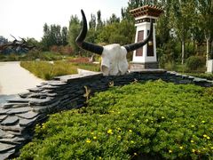 -武清南湖绿博园