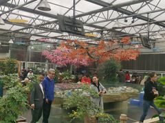 -老磨油饼(高陵店)
