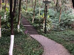-重庆彩云湖湿地公园