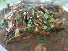 -庆岭迎宾园正宗活鱼馆