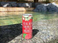 -和园景逸大酒店朗月汤泉