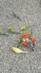 -萌宠亲子动物乐园(槐房万达店)