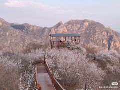 -大岭沟猕猴桃谷风景区